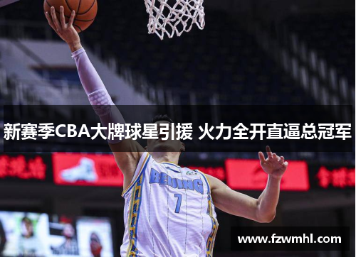 新赛季CBA大牌球星引援 火力全开直逼总冠军